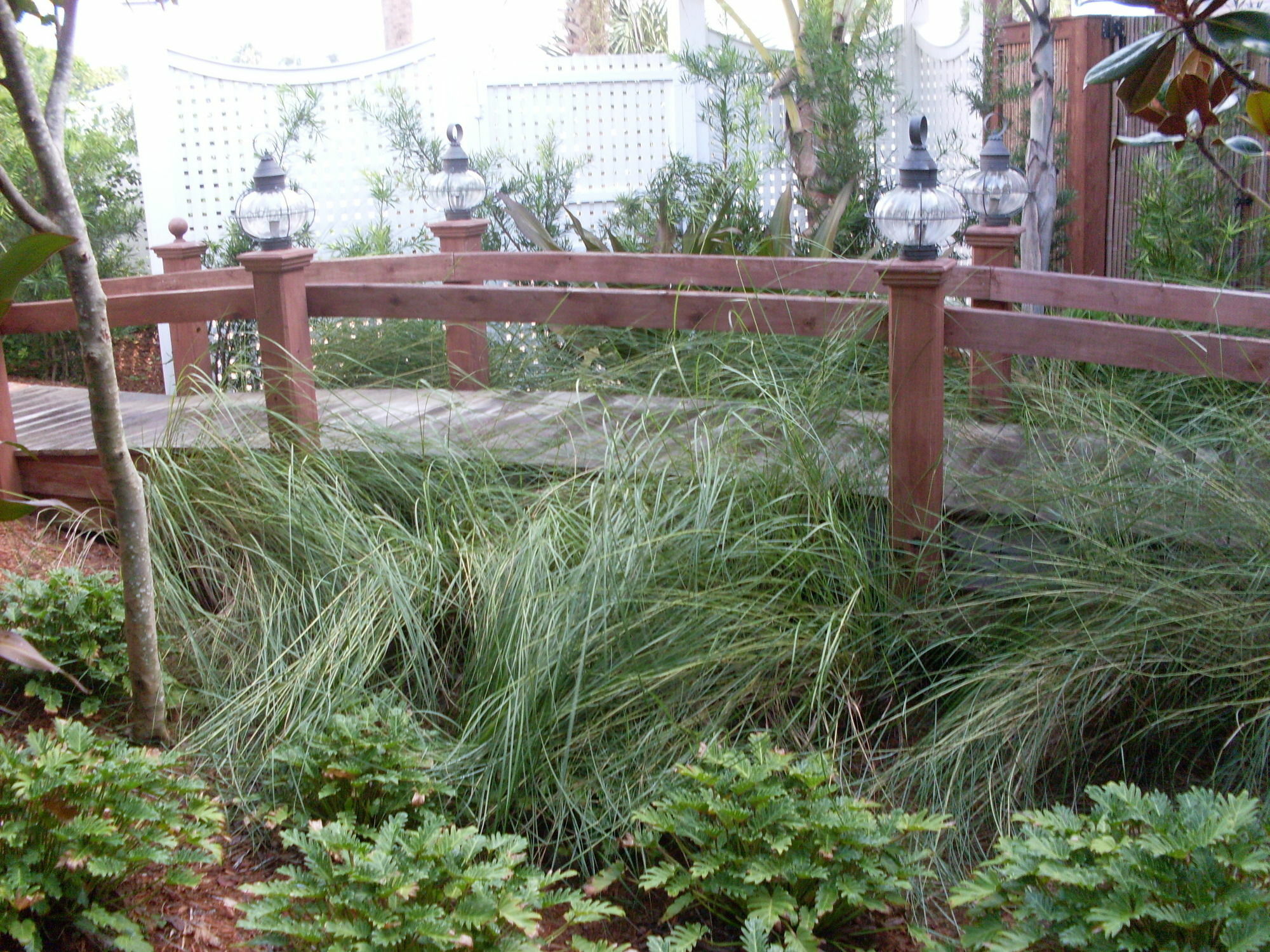 Port d'Hiver Bed&Breakfast Melbourne Beach Exterior foto